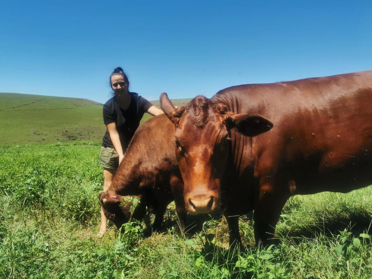 安德伯格 Nguni Moon Tepee Camp酒店 外观 照片