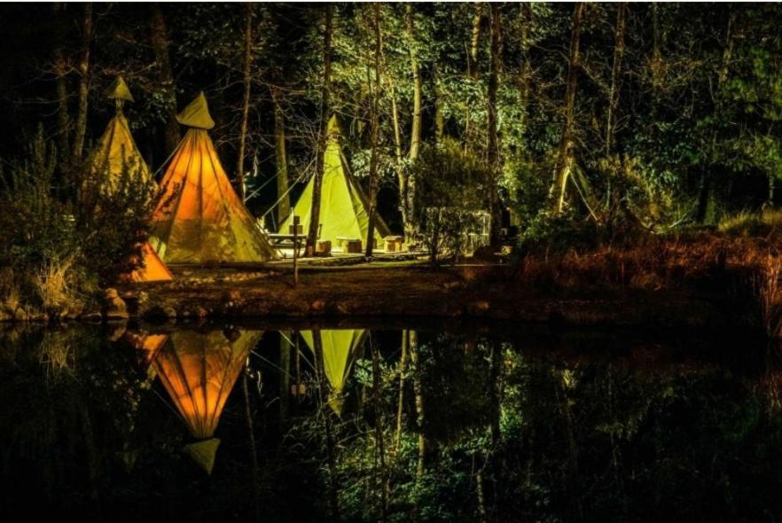 安德伯格 Nguni Moon Tepee Camp酒店 外观 照片